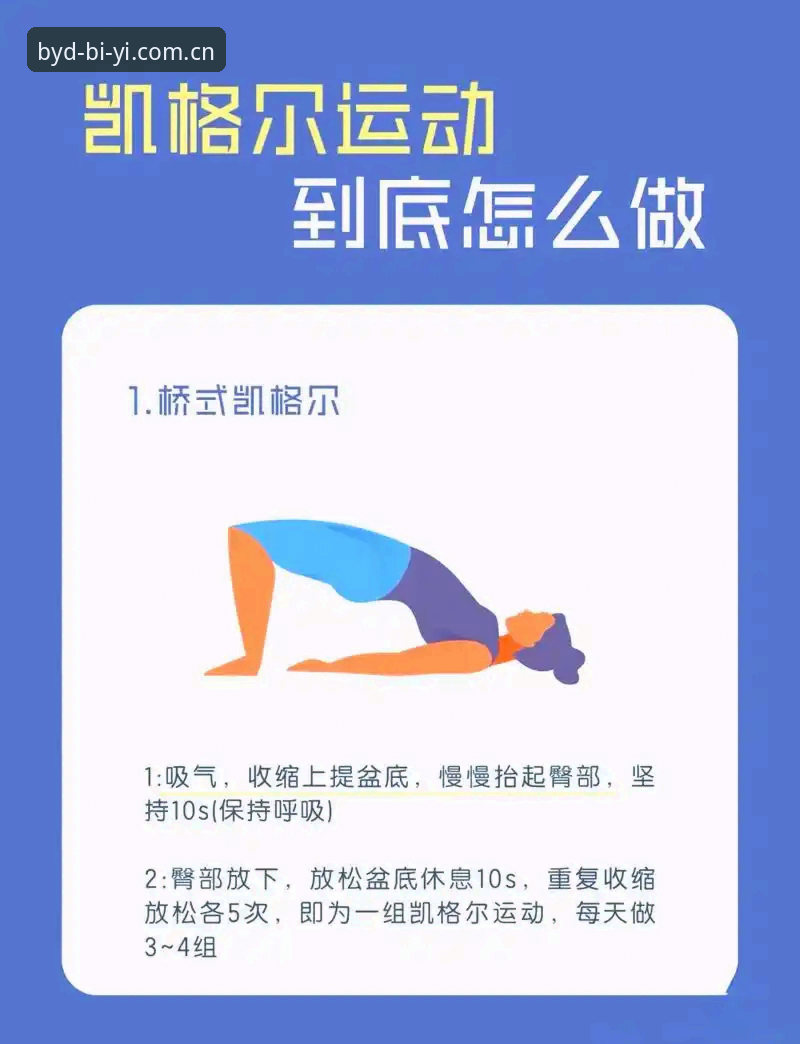 必一运动入口2026最新版本 必一运动入口2026最新版本深度解析:功能升级、安装指南与常见问题全攻略